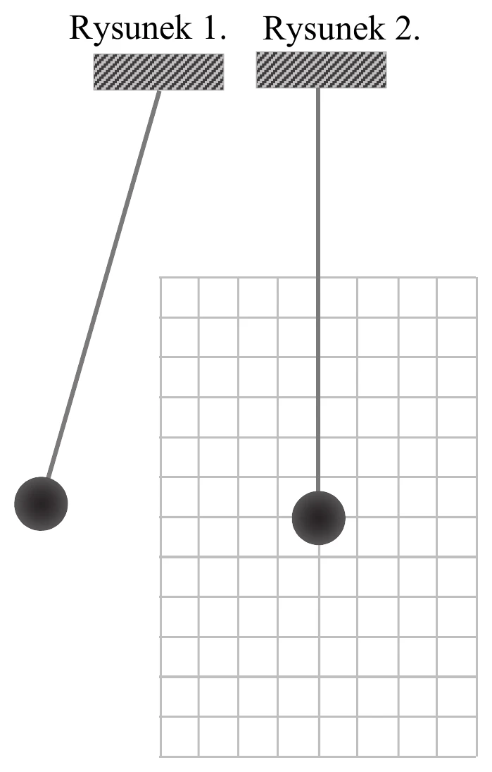 Rysunek 1