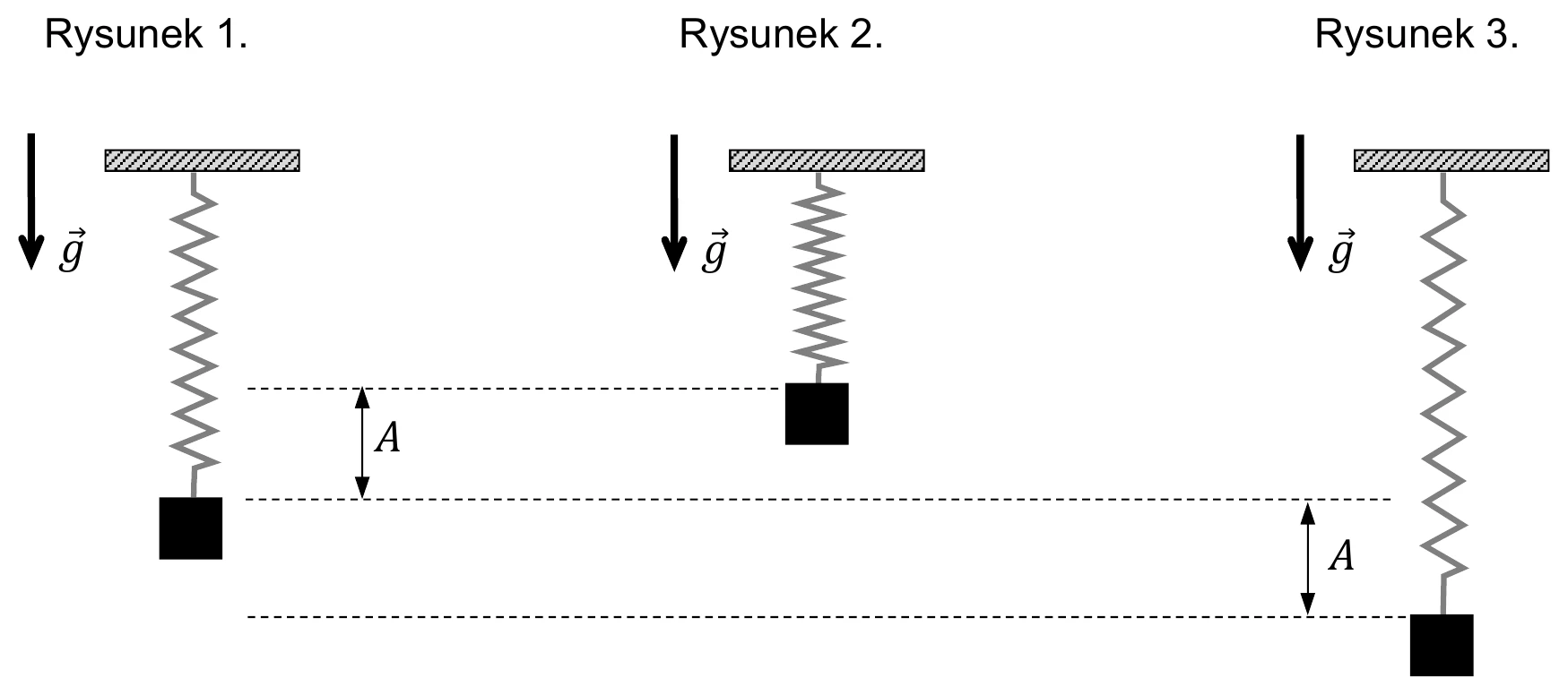 Rysunek 1.