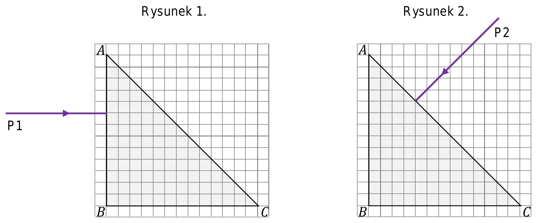 Rysunek 1