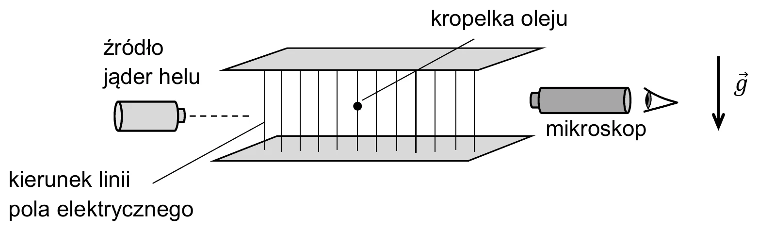 kropelka oleju