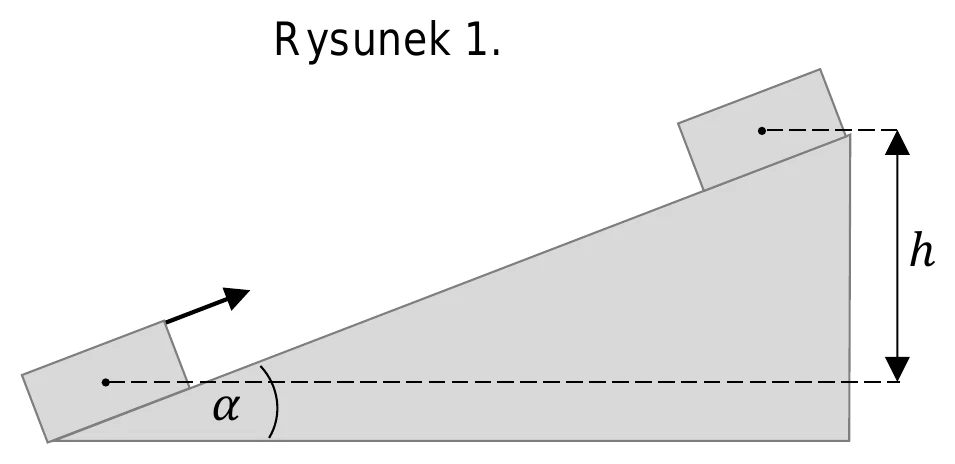 Rysunek 1