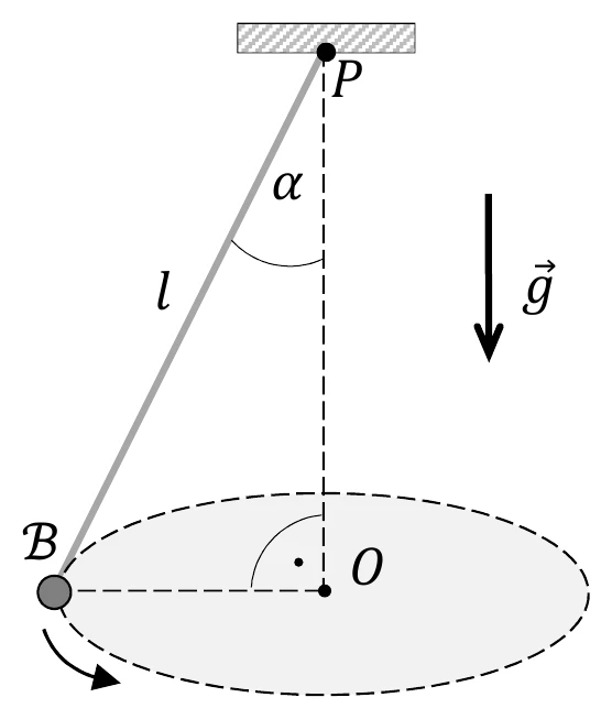 rysunek