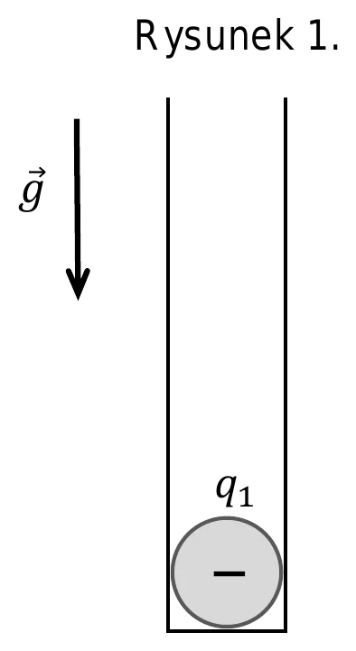 Rysunek 1