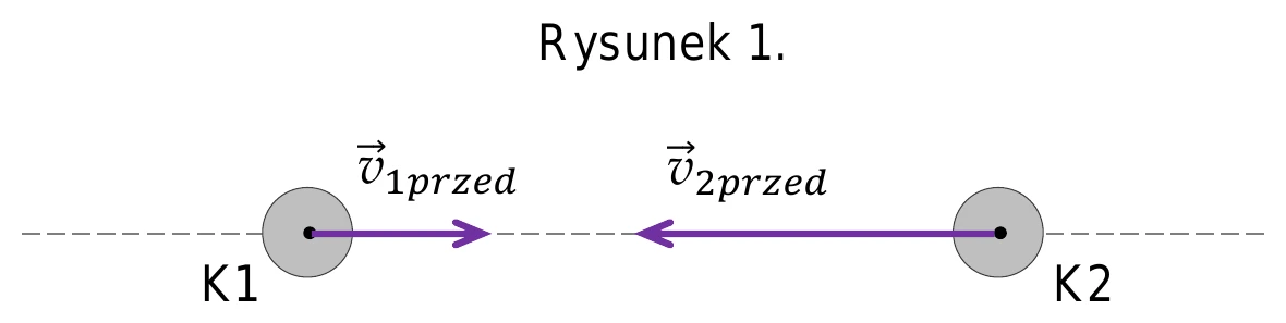 Rysunek 1.