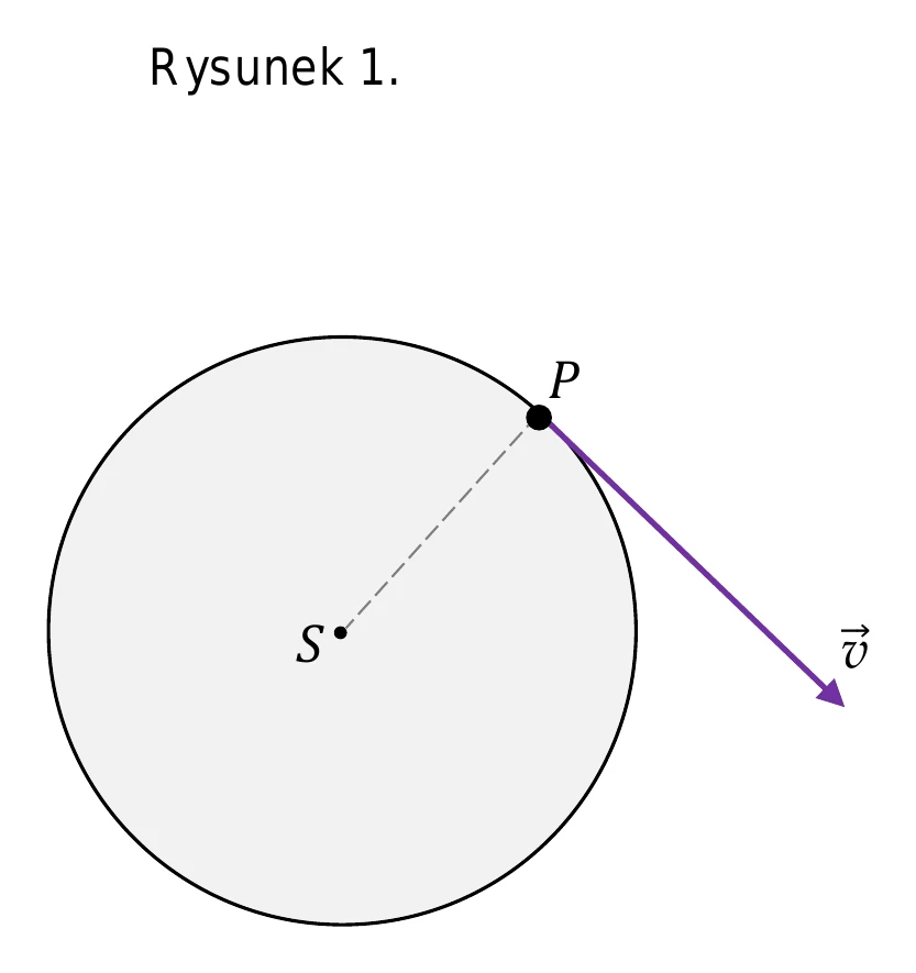Rysunek 1