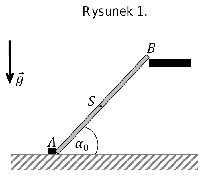 Rysunek 1.