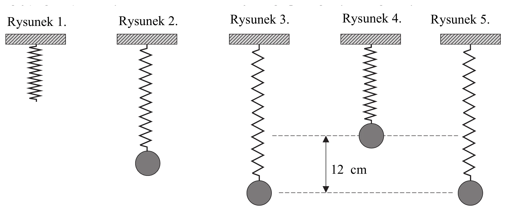 Rysunek 1.