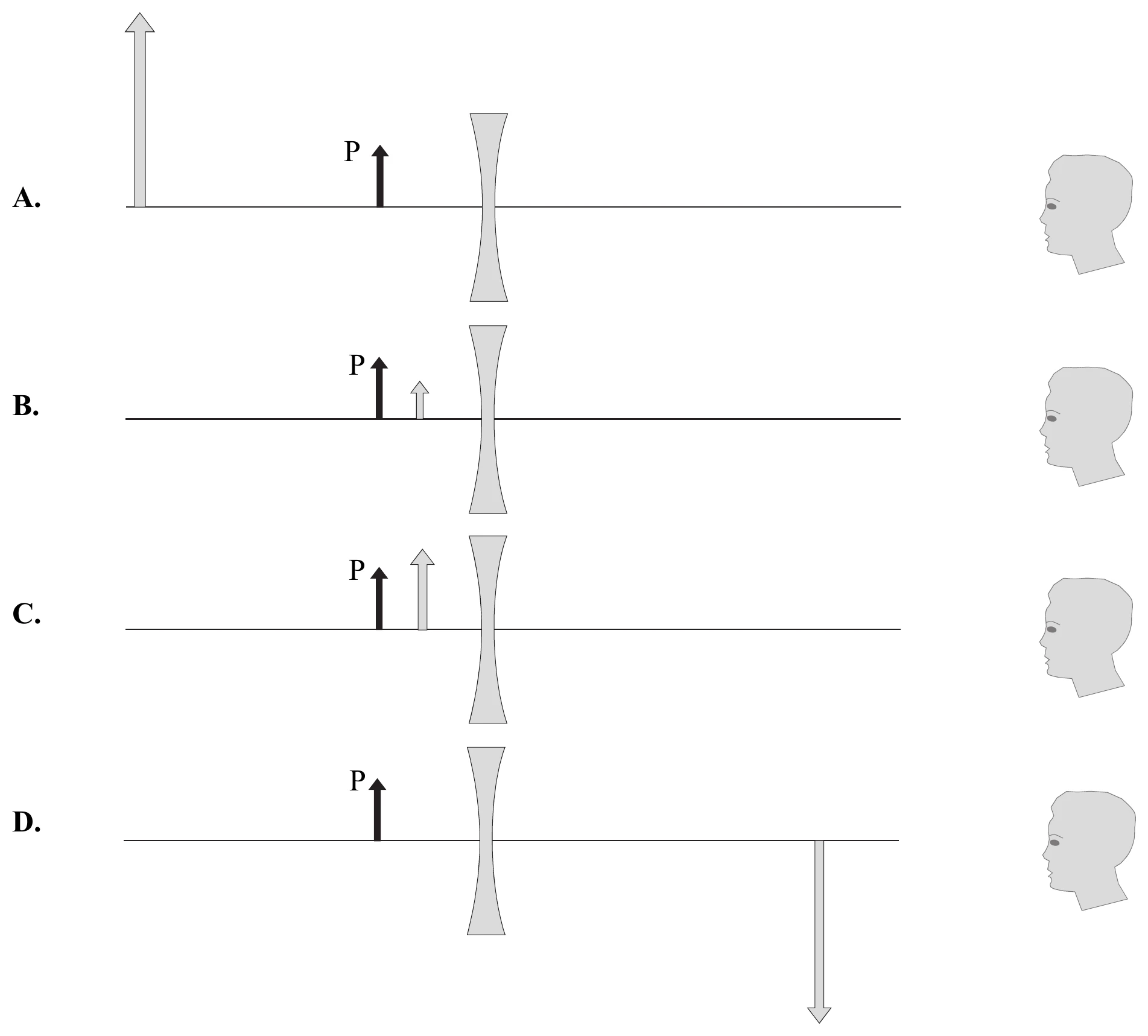 schematy_optyczne_a_d
