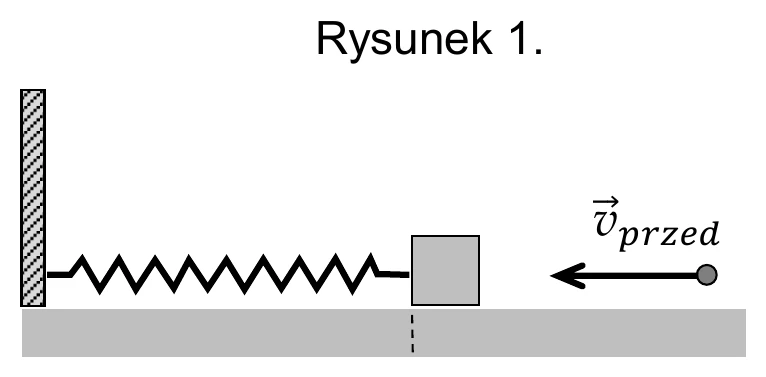 Rysunek 1.