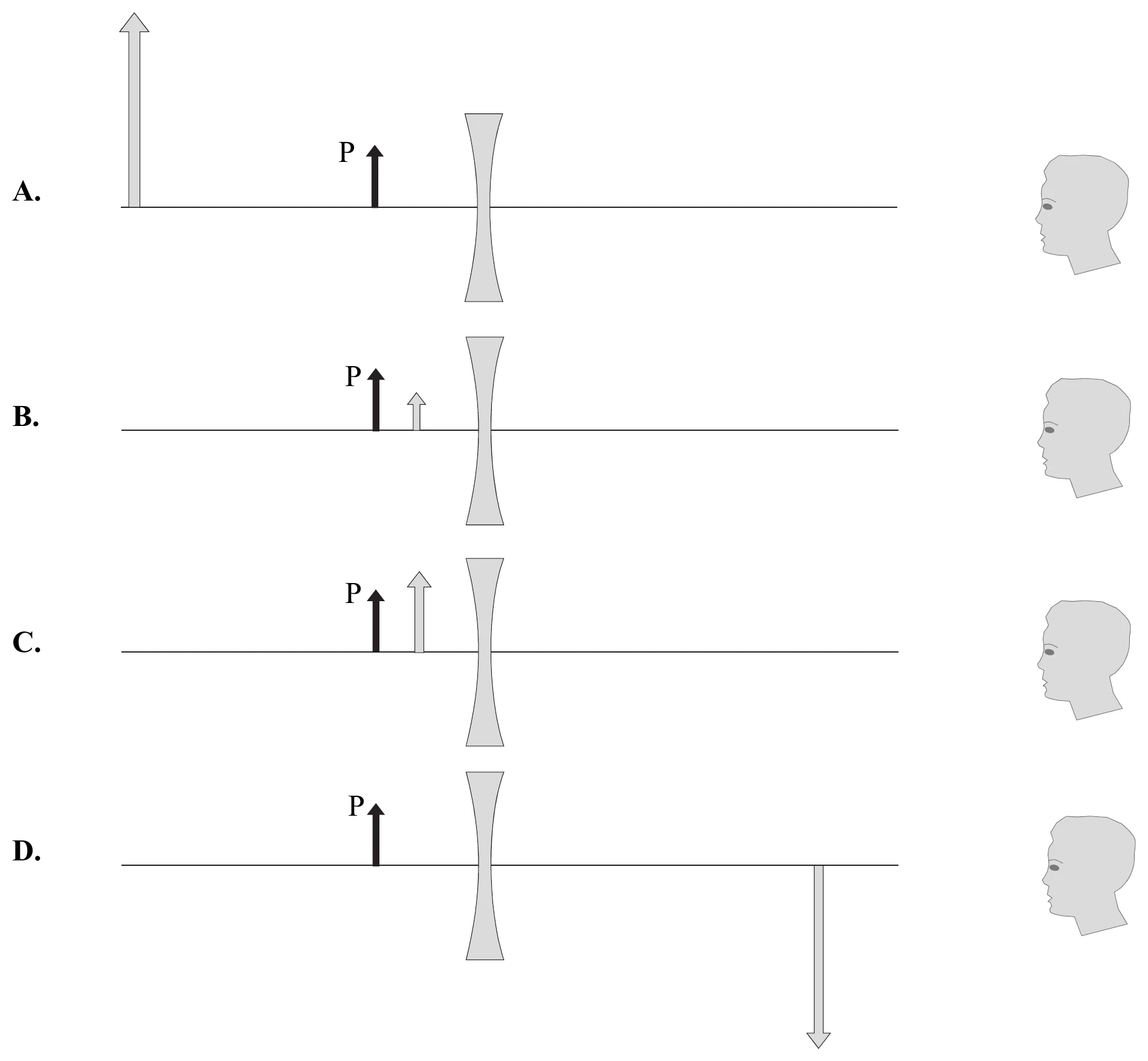 schematy_tworzenia_obrazu
