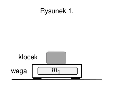 Rysunek 1