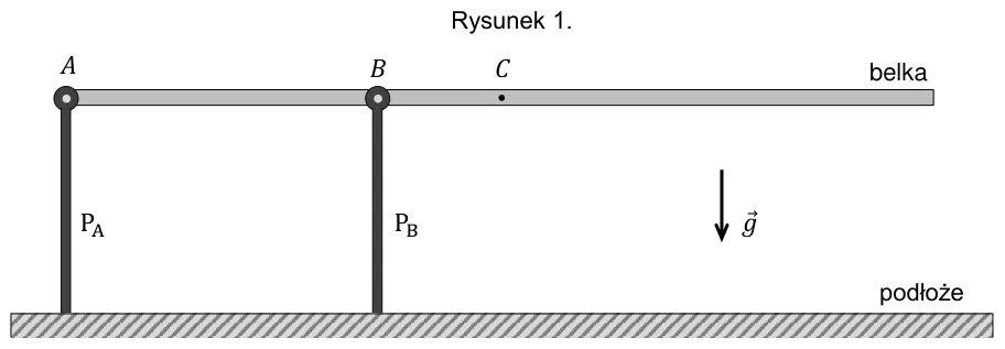 Rysunek belki na podporach