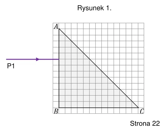 Rysunek 1 P1