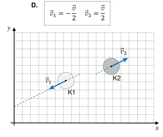 Rysunek D